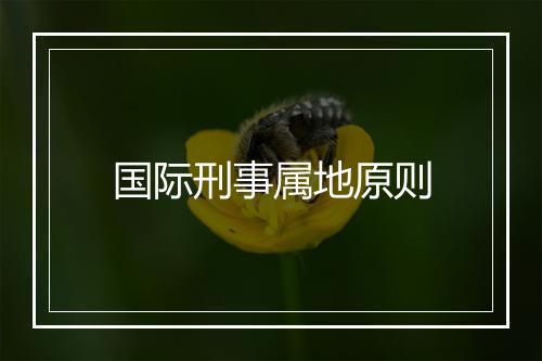 国际刑事属地原则