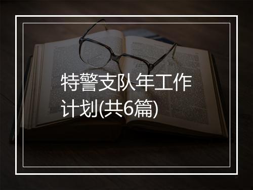 特警支队年工作计划(共6篇)
