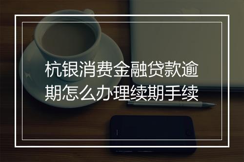 杭银消费金融贷款逾期怎么办理续期手续