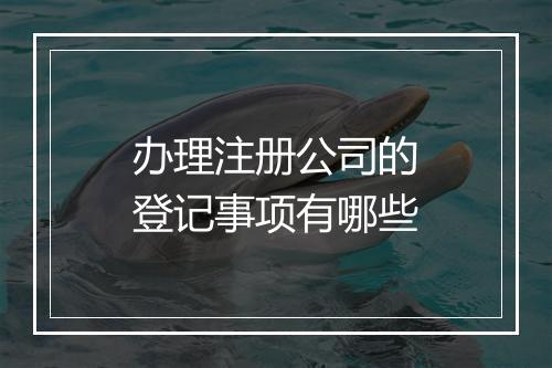 办理注册公司的登记事项有哪些