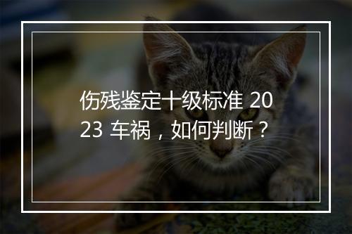 伤残鉴定十级标准 2023 车祸，如何判断？