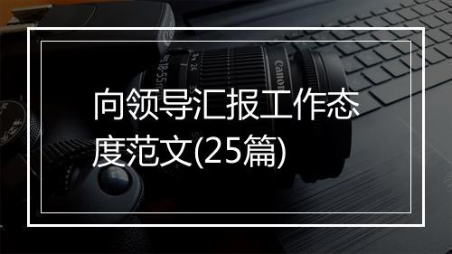 向领导汇报工作态度范文(25篇)
