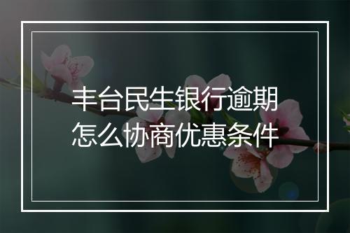 丰台民生银行逾期怎么协商优惠条件