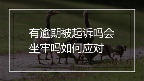 有逾期被起诉吗会坐牢吗如何应对