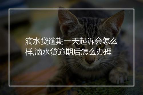 滴水贷逾期一天起诉会怎么样,滴水贷逾期后怎么办理