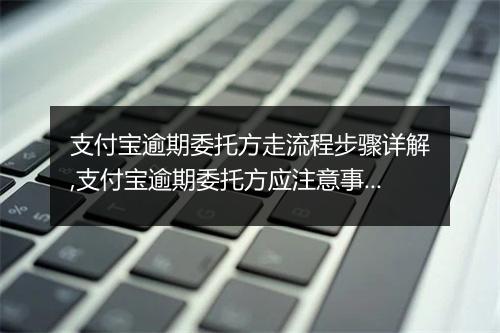 支付宝逾期委托方走流程步骤详解,支付宝逾期委托方应注意事项