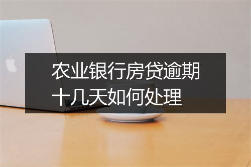 农业银行房贷逾期十几天如何处理