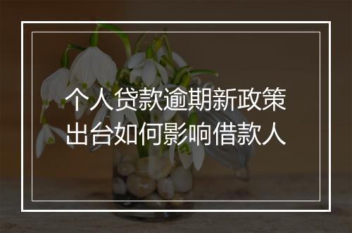 个人贷款逾期新政策出台如何影响借款人