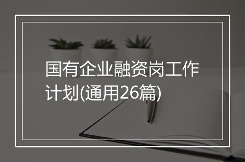 国有企业融资岗工作计划(通用26篇)