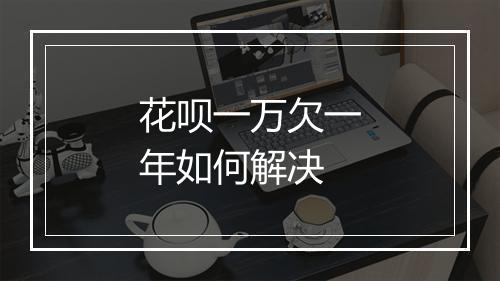 花呗一万欠一年如何解决