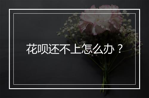 花呗还不上怎么办？