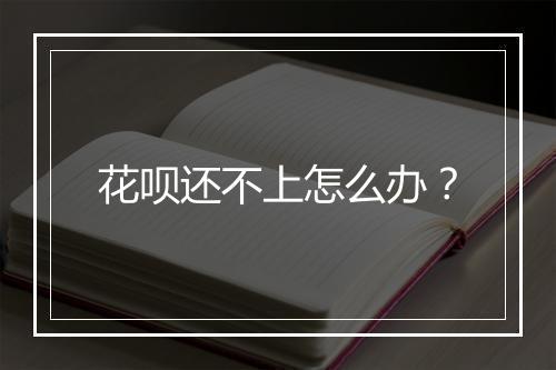花呗还不上怎么办？