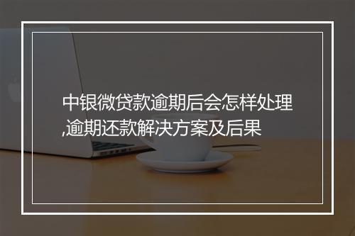 中银微贷款逾期后会怎样处理,逾期还款解决方案及后果