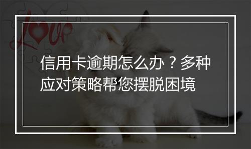 信用卡逾期怎么办？多种应对策略帮您摆脱困境