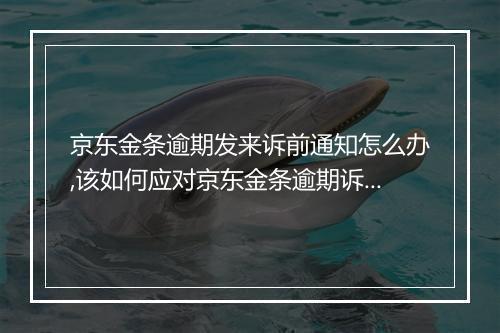 京东金条逾期发来诉前通知怎么办,该如何应对京东金条逾期诉讼