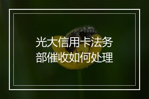 光大信用卡法务部催收如何处理