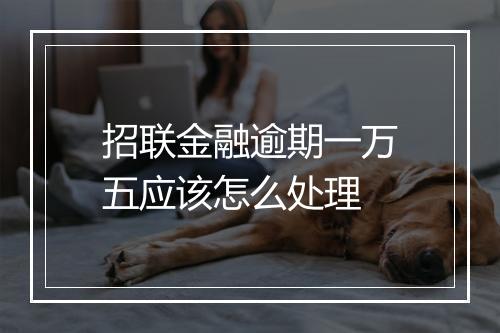 招联金融逾期一万五应该怎么处理