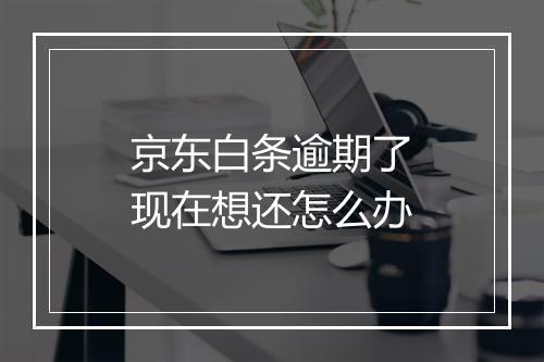 京东白条逾期了现在想还怎么办