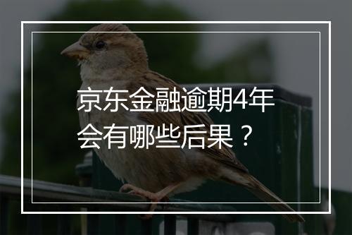 京东金融逾期4年会有哪些后果？