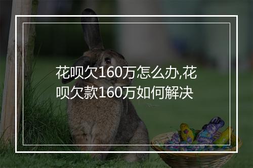 花呗欠160万怎么办,花呗欠款160万如何解决