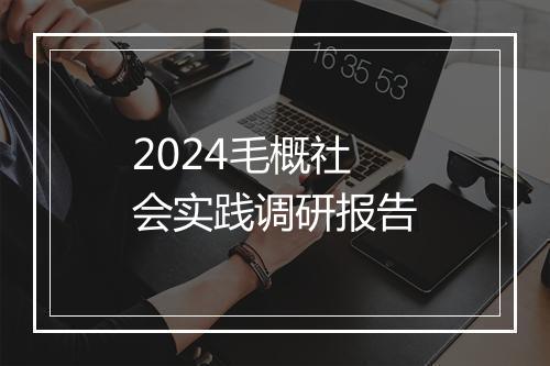 2024毛概社会实践调研报告