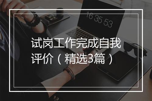试岗工作完成自我评价（精选3篇）