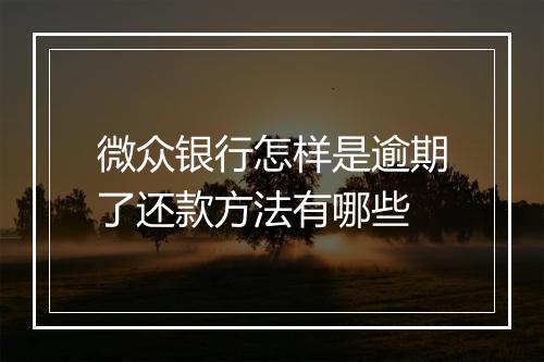 微众银行怎样是逾期了还款方法有哪些