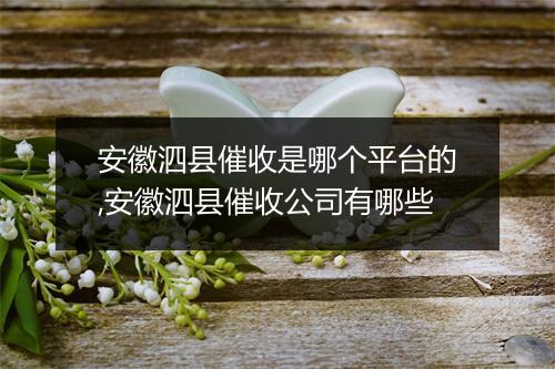 安徽泗县催收是哪个平台的,安徽泗县催收公司有哪些