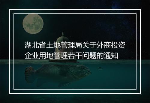 湖北省土地管理局关于外商投资企业用地管理若干问题的通知