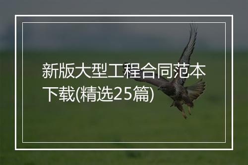 新版大型工程合同范本下载(精选25篇)
