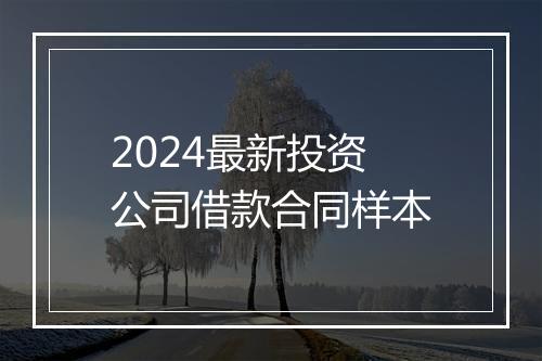 2024最新投资公司借款合同样本