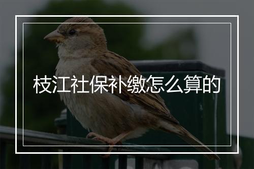 枝江社保补缴怎么算的