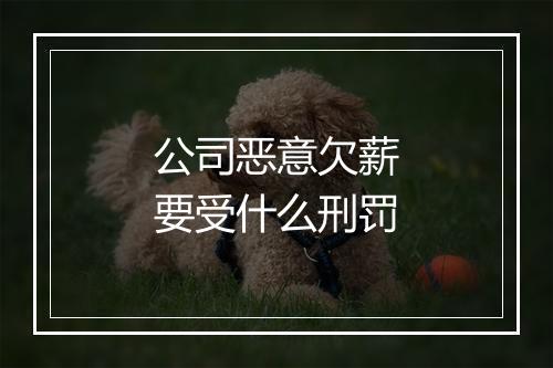公司恶意欠薪要受什么刑罚