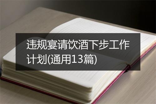违规宴请饮酒下步工作计划(通用13篇)