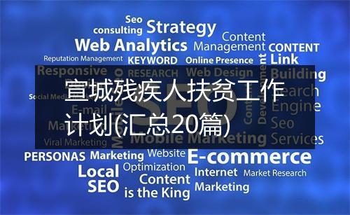 宣城残疾人扶贫工作计划(汇总20篇)