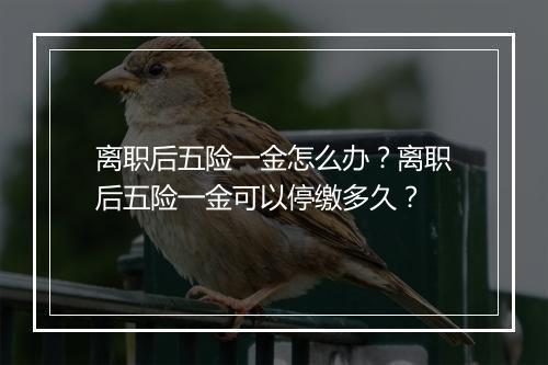 离职后五险一金怎么办？离职后五险一金可以停缴多久？