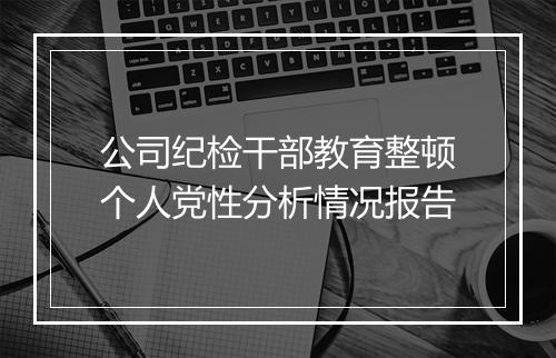 公司纪检干部教育整顿个人党性分析情况报告