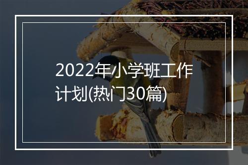 2022年小学班工作计划(热门30篇)