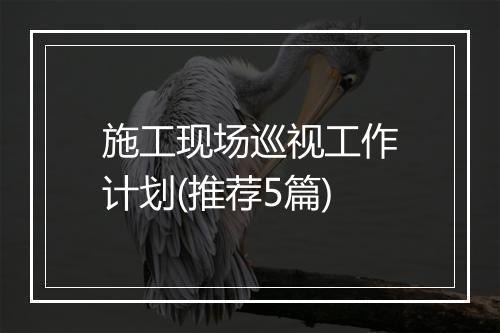 施工现场巡视工作计划(推荐5篇)