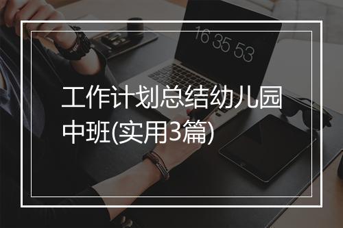工作计划总结幼儿园中班(实用3篇)