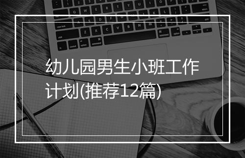 幼儿园男生小班工作计划(推荐12篇)