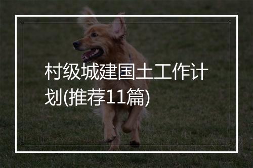 村级城建国土工作计划(推荐11篇)