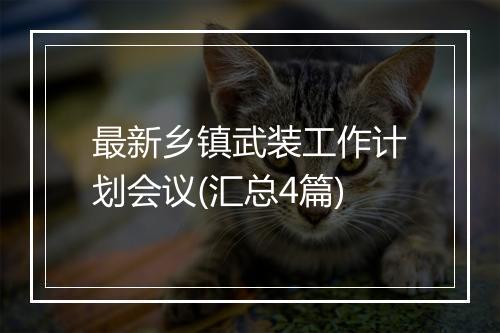 最新乡镇武装工作计划会议(汇总4篇)