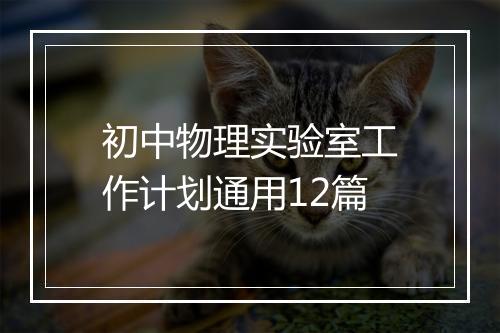 初中物理实验室工作计划通用12篇