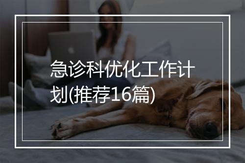 急诊科优化工作计划(推荐16篇)