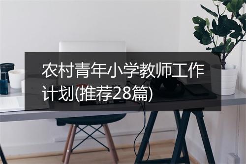 农村青年小学教师工作计划(推荐28篇)