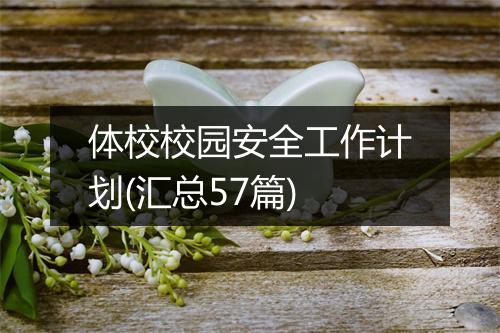 体校校园安全工作计划(汇总57篇)