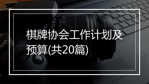 棋牌协会工作计划及预算(共20篇)