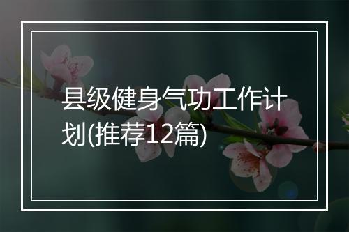 县级健身气功工作计划(推荐12篇)