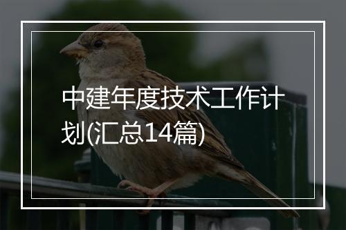 中建年度技术工作计划(汇总14篇)